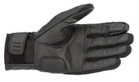 Large-3509520-10-ba_gareth-leather-glovepalm