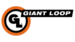 Giant-loop-logo-vector