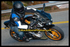 Marty_buell_snake_12